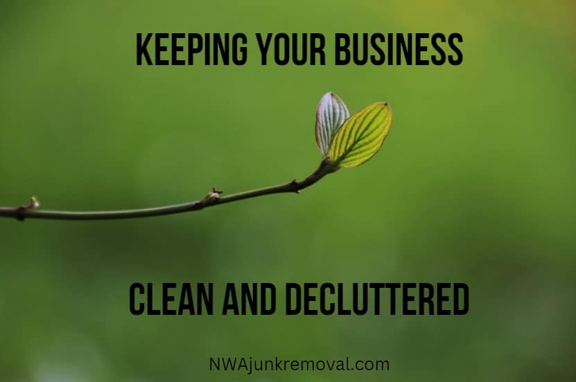 The Benefits of Regular Junk Removal for Businesses clean work place.